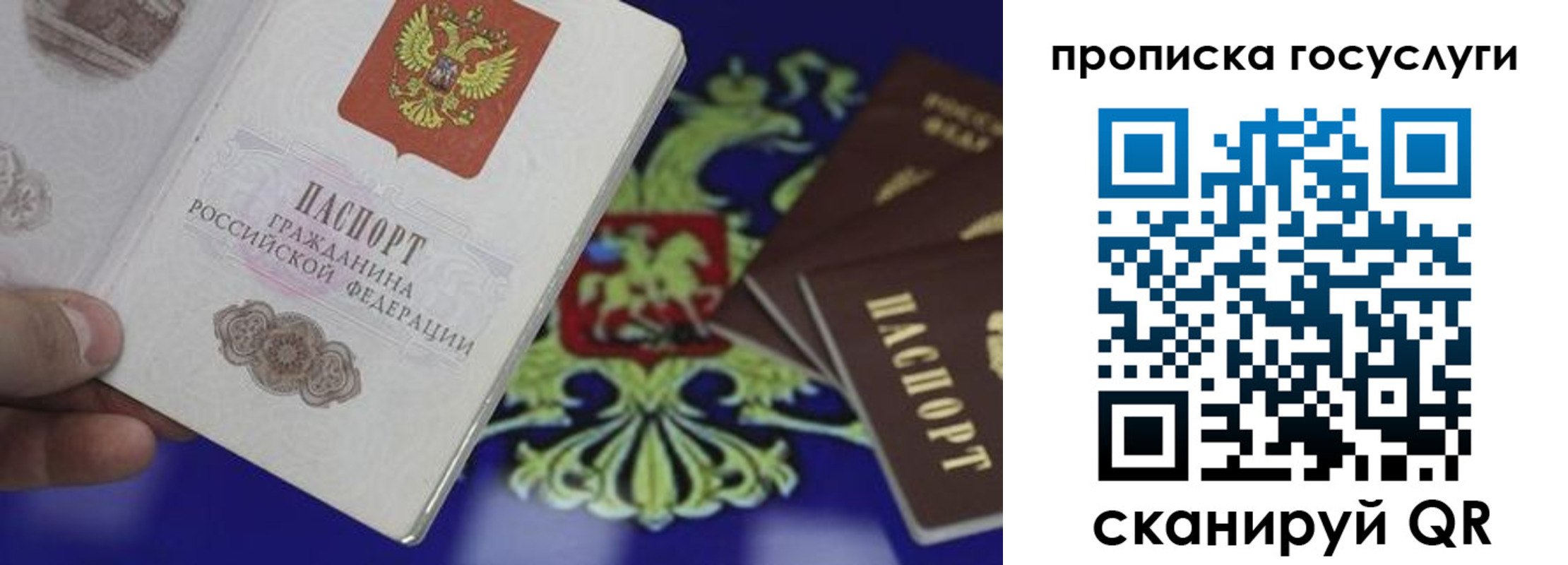прописка для школы в Кохме